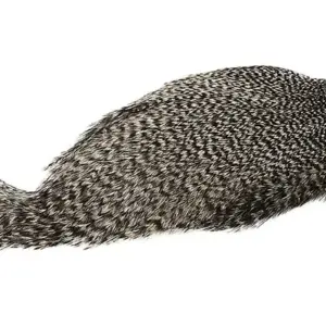 COQ DE LEON CAPE GRIZZLY VARIANT 