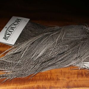 GRADE #1 KEOUGH GRIZZLY