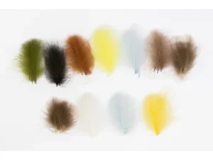 CDC SELECCION 4 COLORES